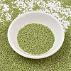 MIYUKI Delica Beads SEED-MY11-DB2290-2
