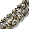 Natural Dalmatian Jasper Beads Strands G-C039-A05-1