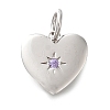 925 Sterling Silver Micro Pave Clear Cubic Zirconia Charms STER-V001-01P-02-1