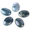 Natural Indian Agate Cabochons PW-WG8E62B-02-1