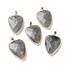 Faceted Natural Labradorite Pendants X-G-F340-02D-3