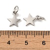 Non-Tarnish 201 Stainless Steel Charms STAS-E217-25B-P-3