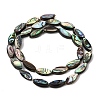 Natural Abalone Shell Paua Shell Beads Strands SH-CBA69D1-01-2