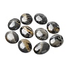 Natural Dendritic Jasper Cabochons X-G-F608-02A-01-1
