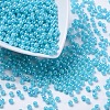 Eco-Friendly Poly Styrene Acrylic Beads PL650-5-1