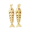 Rack Plating Brass Micro Pave Cubic Zirconia Pendants LS-KK-M309-38D-G-1