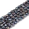 Natural Cultured Freshwater Pearl Beads Strands PEAR-L033-30F-1