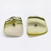Dyed Natural Freshwater Shell Chips Beads SHEL-A003-E03-2