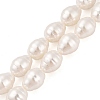 Shell Pearl Beads Strands BSHE-L035-A02-3