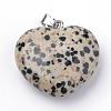 Natural Dalmatian Jasper Pendants G-S219-18G-1