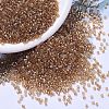 MIYUKI Delica Beads SEED-MY11-DB1241-1