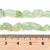 Natural Prehnite Beads Strands G-K395-B08-01-5