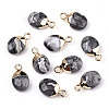 Natural Map Stone/Picasso Stone/Picasso Jasper Charms X-G-N326-58B-1