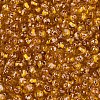 Picasso Baking Paint Glass Seed Beads SEED-N007-35C-3