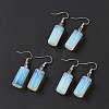 Gemstone Cylindrical Dangle Earrings EJEW-D188-01P-6