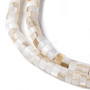Natural Freshwater Shell Beads Strands SSHEL-C013-04A-3