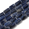 Natural Sodalite Beads Strands GG-CBA56E5-02-2