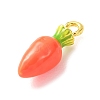Alloy Enamel Pendants AL-CBA24A7-01G-01-2