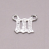 Alloy Pendants PALLOY-TAC0023-38A-01-2