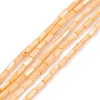 Natural Freshwater Shell Dyed Beads Strands SHEL-M018-11-2