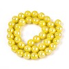 Electroplate Opaque Glass Beads Strands GLAA-T032-P10mm-AB16-2