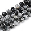 Natural Eagle Eye Stone Beads Strands G-T144-A01-03-2