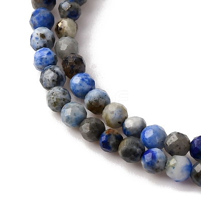 Natural Lapis Lazuli Beads Strands G-L629-B01-2mm-03-1