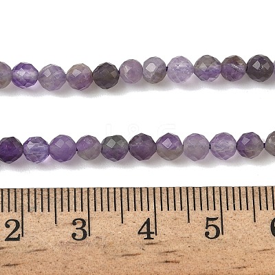 Natural Amethyst Beads Strands G-A252-A03-01A-1