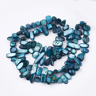 Freshwater Shell Beads Strands X-SHEL-S274-40B-1