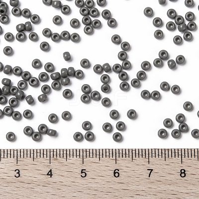 MIYUKI Round Rocailles Beads X-SEED-G008-RR0499-1