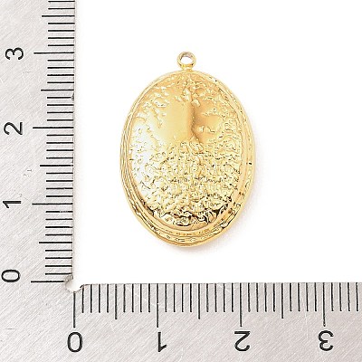 304 Stainless Steel with Acrylic Pendants STAS-Z199-11G-02-1