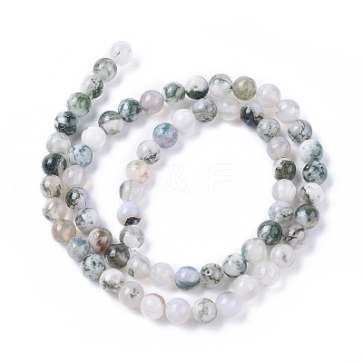 Natural Tree Agate Beads Strands X-G-L533-22-1