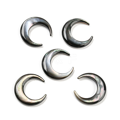 Natural Black Lip Shell Cabochons SSHEL-P015-80B-20MM-01-1