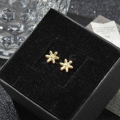 304 Stainless Steel Stud Earrings for Women LS-STAS-Z117-14G-04-1