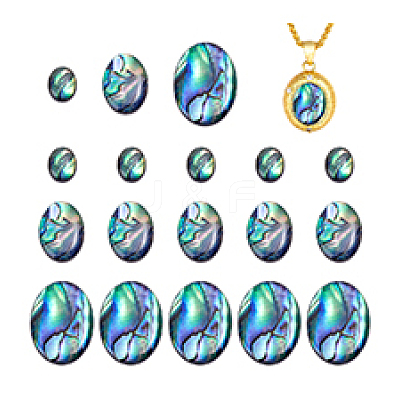 18Pcs 3 Styles Natural Paua Shell Cabochons SSHEL-PH0001-43-1