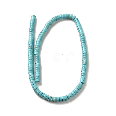 Synthetic Turquoise Dyed Beads Strands G-E594-20B-1