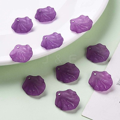 Transparent Frosted Acrylic Pendants MACR-S371-01A-743-1