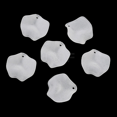 Frosted Acrylic Pendants SACR-F016-02C-1