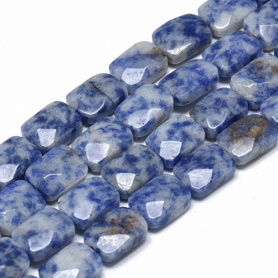 Natural Blue Spot Jasper Bead Strands G-T072-06-1