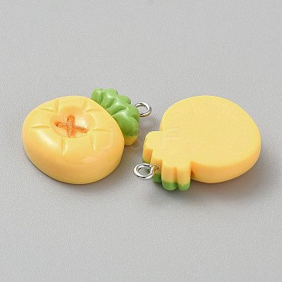 Opaque Resin Pendants CRES-CJC0011-004E-P-1