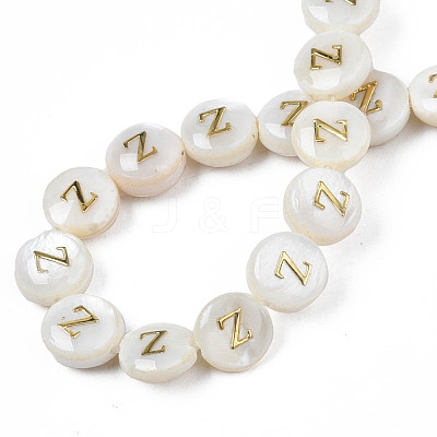Natural Freshwater Shell Beads SHEL-S276-168-1