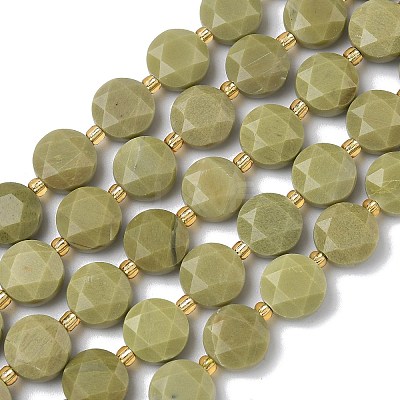 Natural Alashan Agate Beads Strands G-C116-A189-01-1