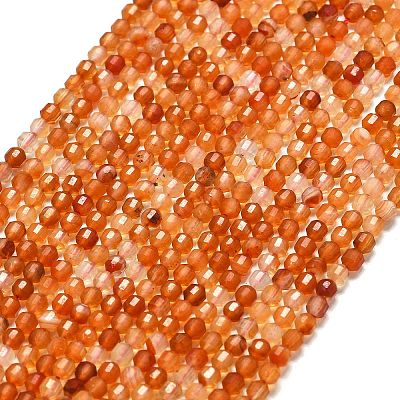 Natural Carnelian Beads Strands G-A260-A20-01-1
