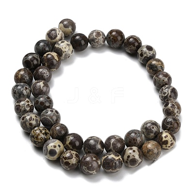 Natural Astroite Jasper Beads Strands G-F814-A01-10mm-1