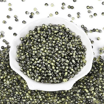 Transparent Inside Colours Glass Seed Beads SEED-T007-19A-05-1