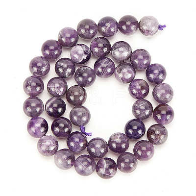 Natural Amethyst Beads Strands G-OC0001-63-10mm-1