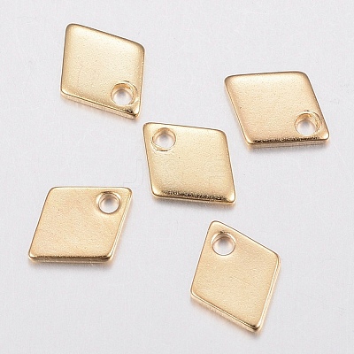 304 Stainless Steel Charms STAS-G179-82G-1