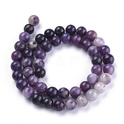 Natural Lepidolite/Purple Mica Stone Beads Strands G-K415-10mm-1