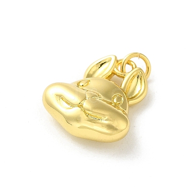 Brass Charms KK-D095-01B-G-1