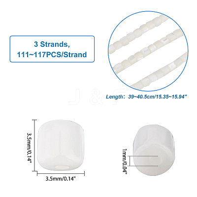 3 Strands Natural Trochid Shell/Trochus Shell Beads Strands SSHEL-FH0001-12-1
